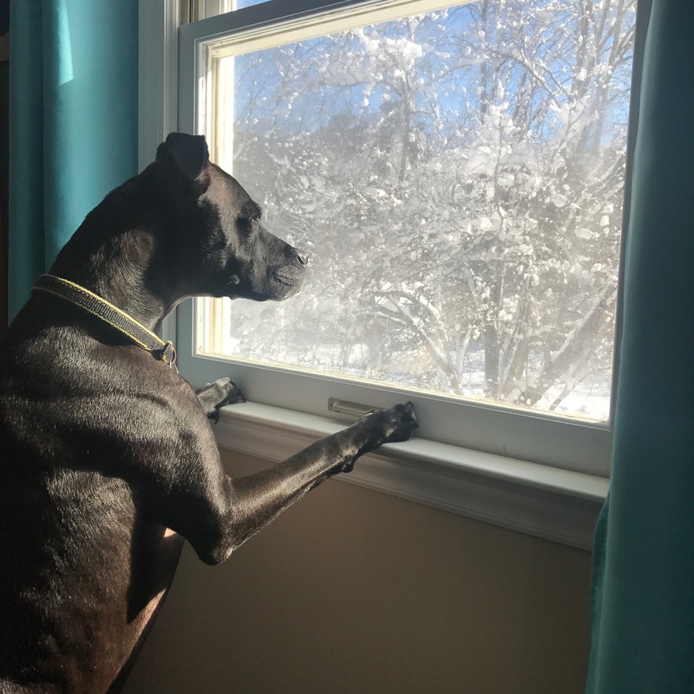 Meet your Posher, Sara